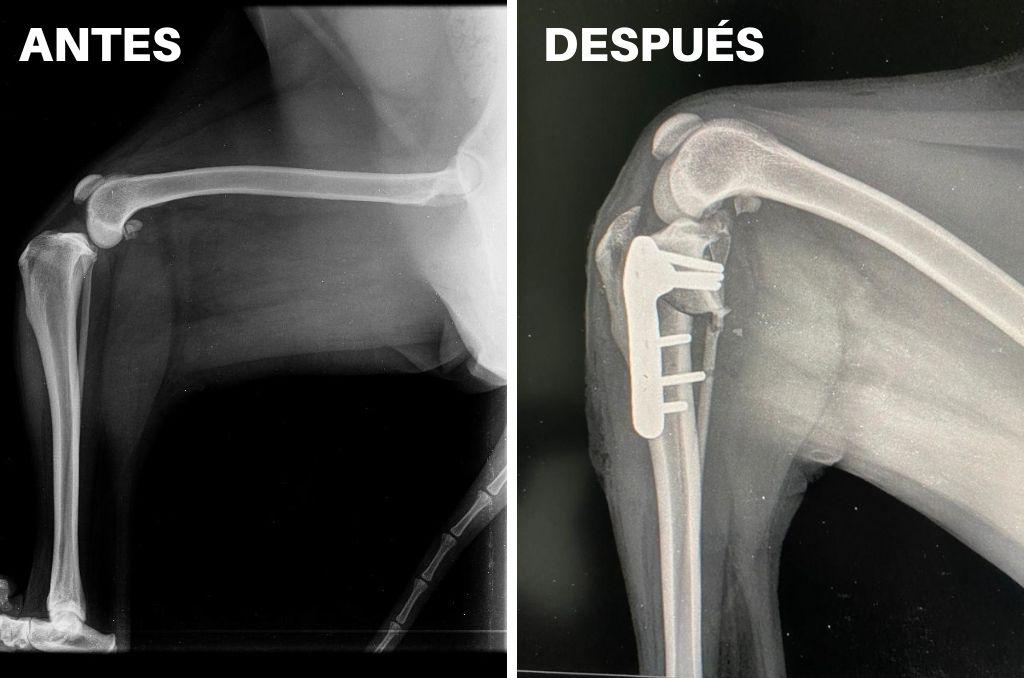 antes_despues_zoomundo