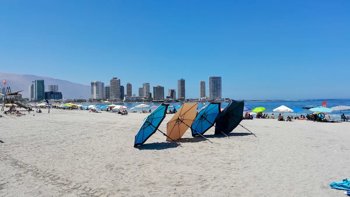 20250116_123348-EDIT