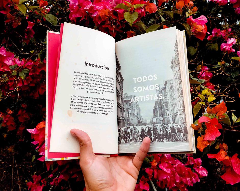 person-holding-book-2294408 copia